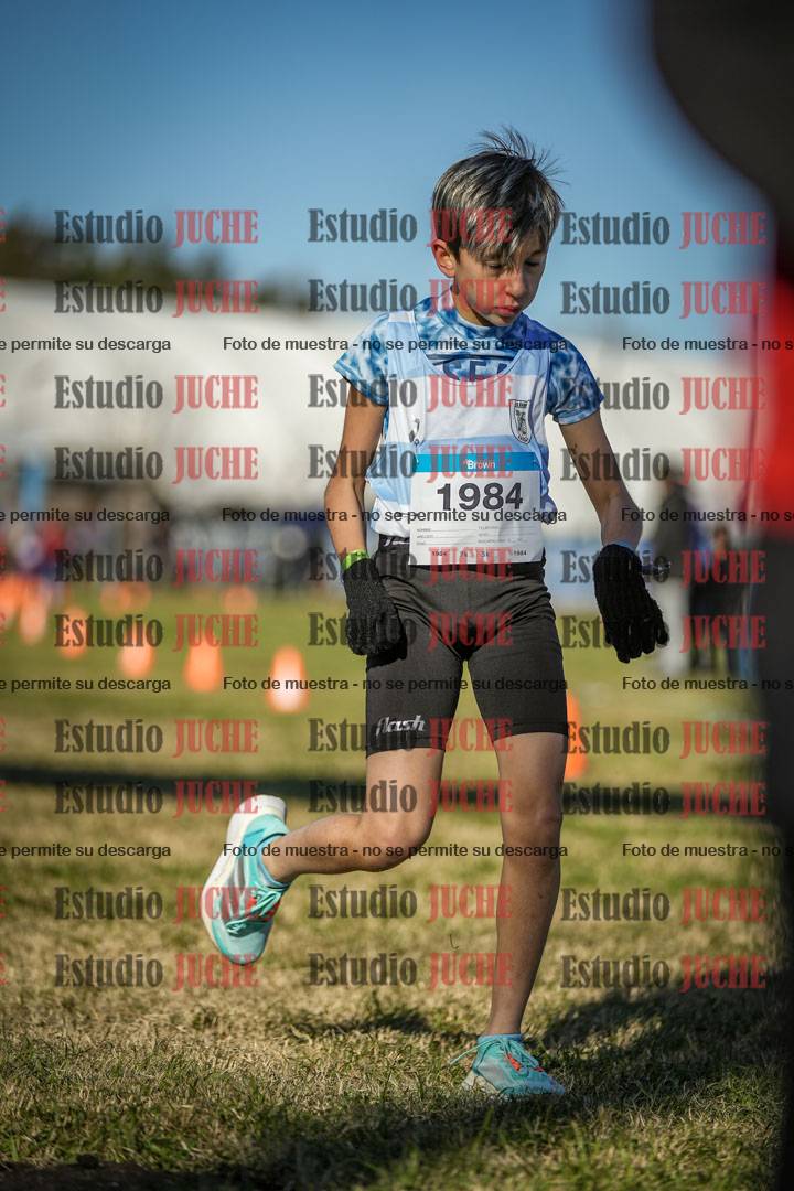 Fotos de las llegadas