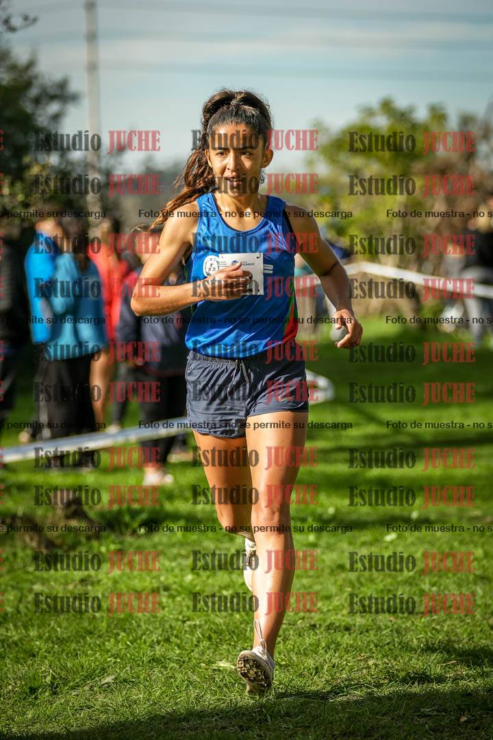 Fotos de la llegada del cross de 6000 m