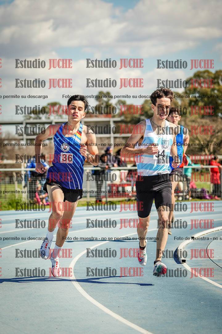 Fotos de los 800 m llanos de varones
