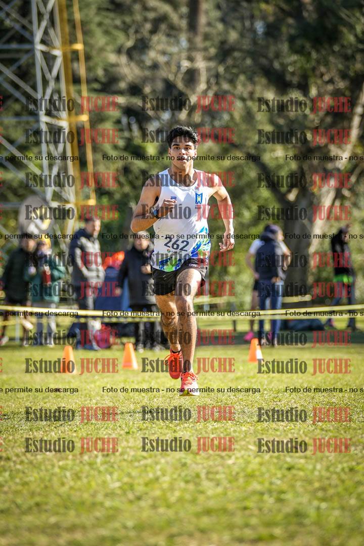 Fotos de la llegada del cross de 6000 m