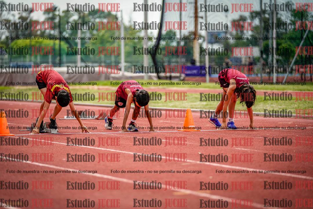 Fotos de los 60 m con vallas de varones