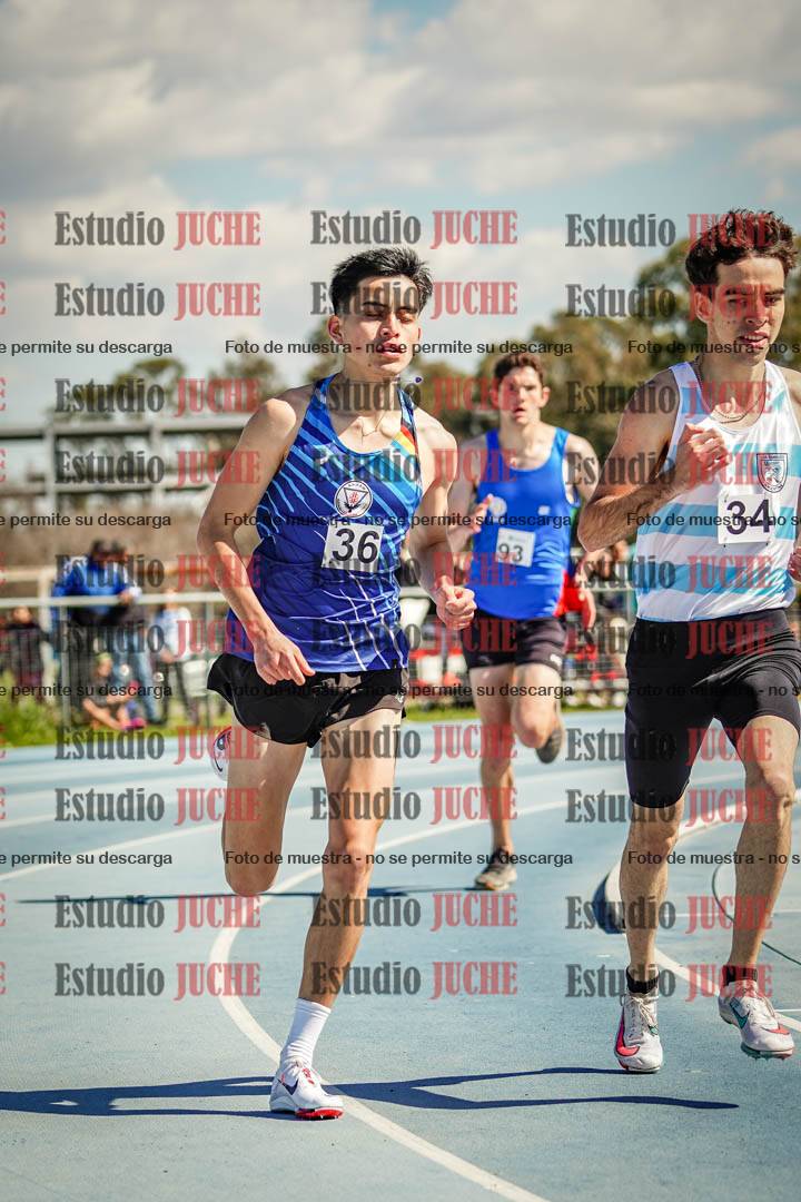 Fotos de los 800 m llanos de varones