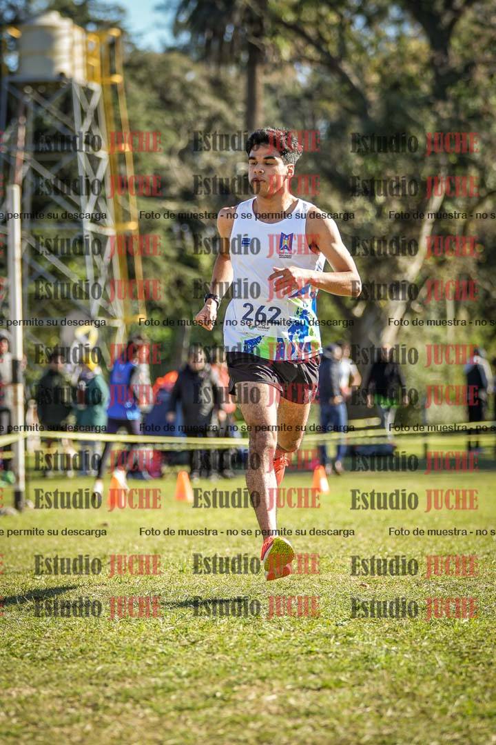 Fotos de la llegada del cross de 6000 m