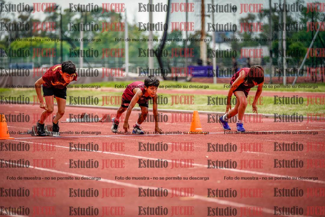 Fotos de los 60 m con vallas de varones