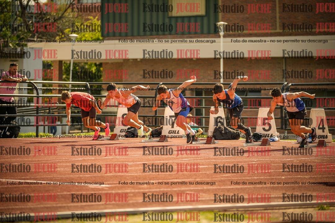 Fotos de los 110 m con vallas de varones