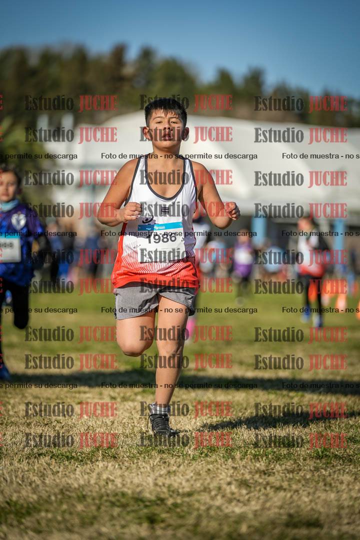 Fotos de las llegadas