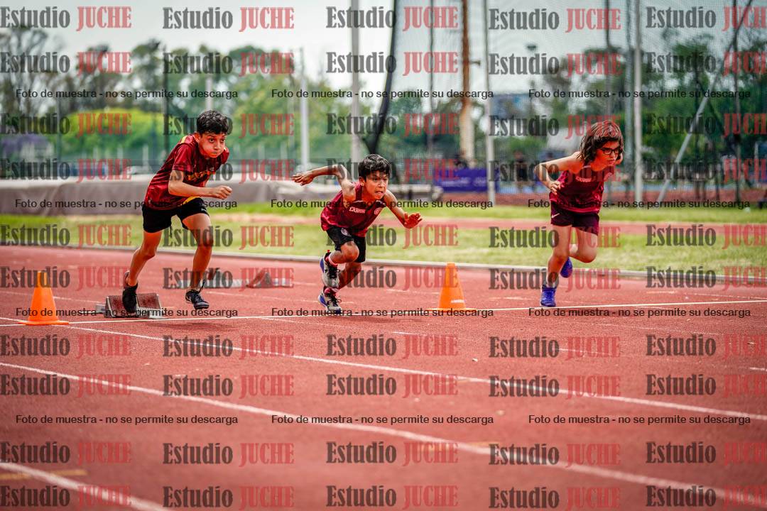 Fotos de los 60 m con vallas de varones
