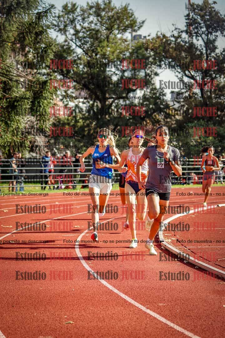 Fotos de los 800 m llanos de mujeres