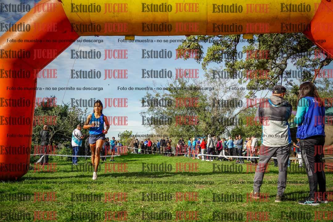 Fotos de la llegada del cross de 6000 m
