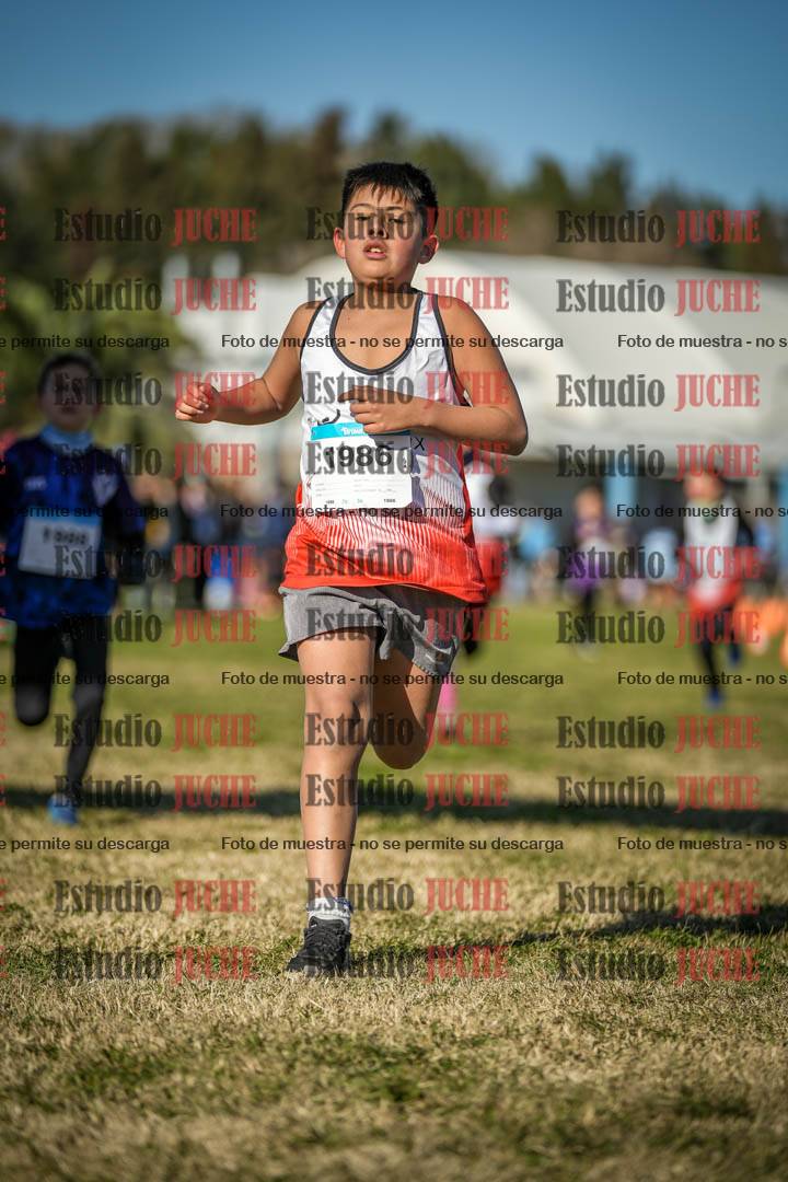 Fotos de las llegadas