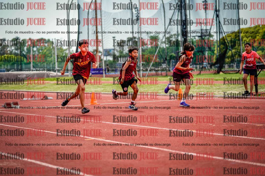 Fotos de los 60 m con vallas de varones