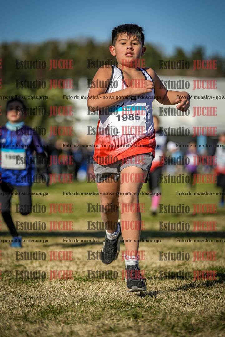 Fotos de las llegadas