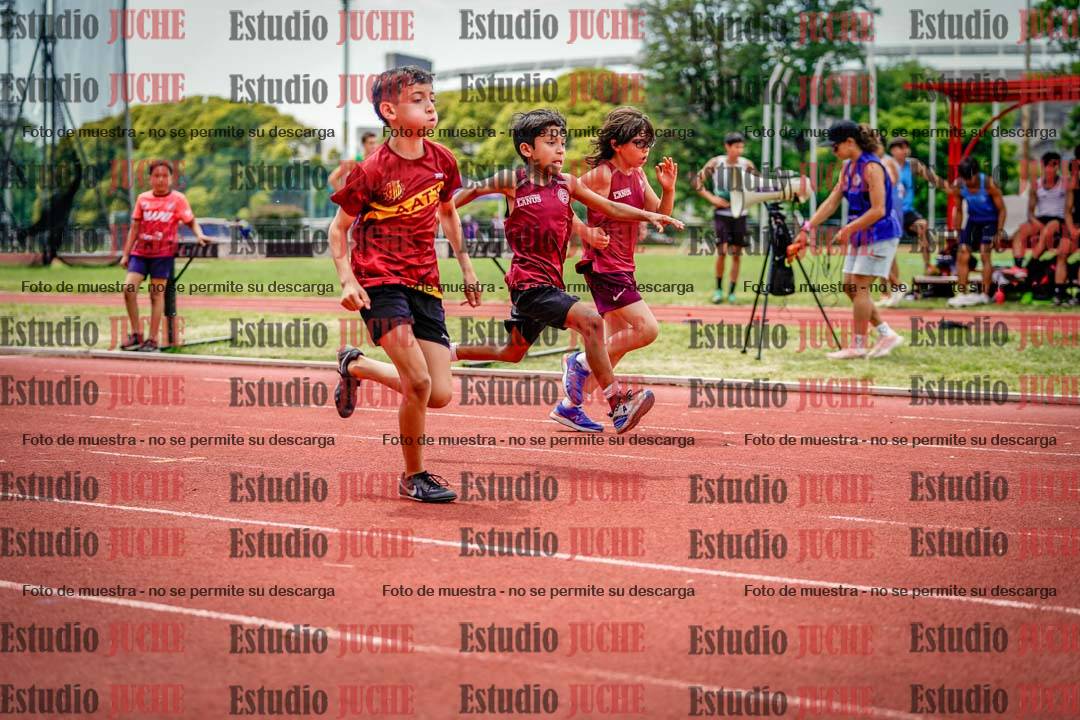 Fotos de los 60 m con vallas de varones