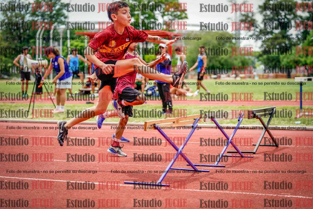 Fotos de los 60 m con vallas de varones