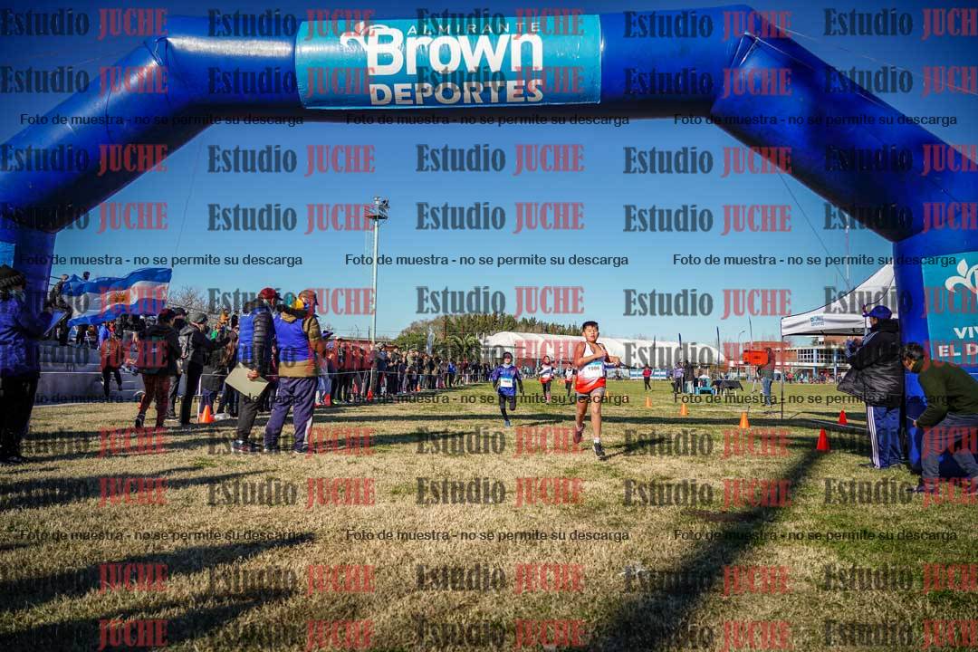 Fotos de las llegadas