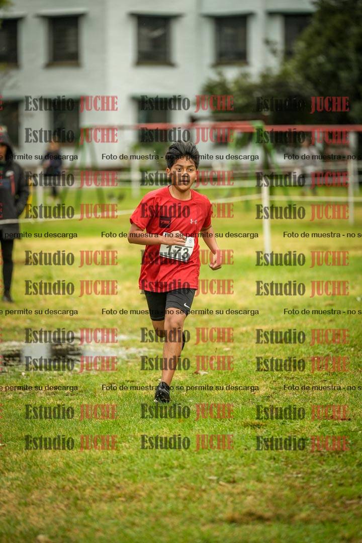 Fotos en el circuito