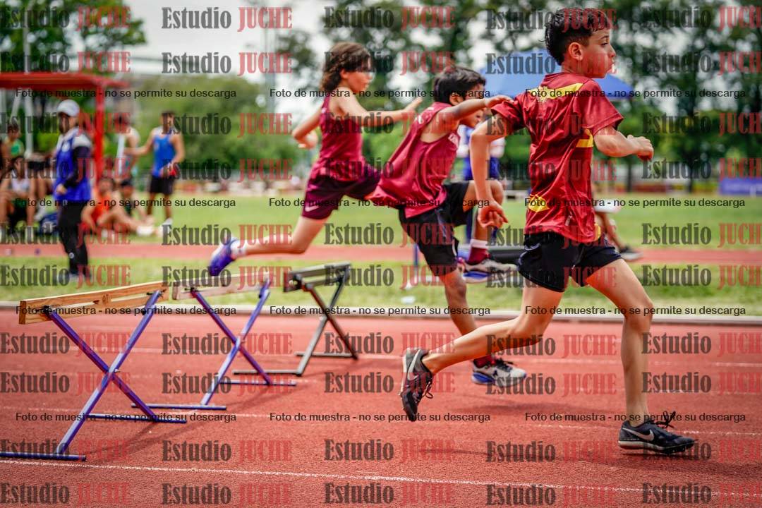 Fotos de los 60 m con vallas de varones
