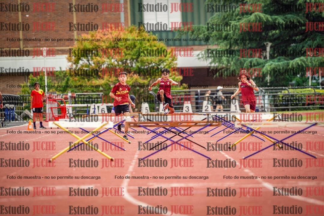 Fotos de los 60 m con vallas de varones