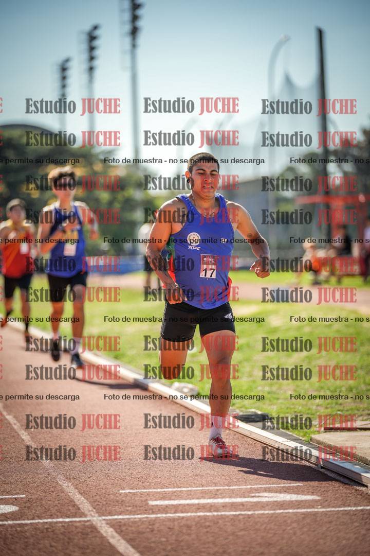 Fotos de los 800 m llanos de varones