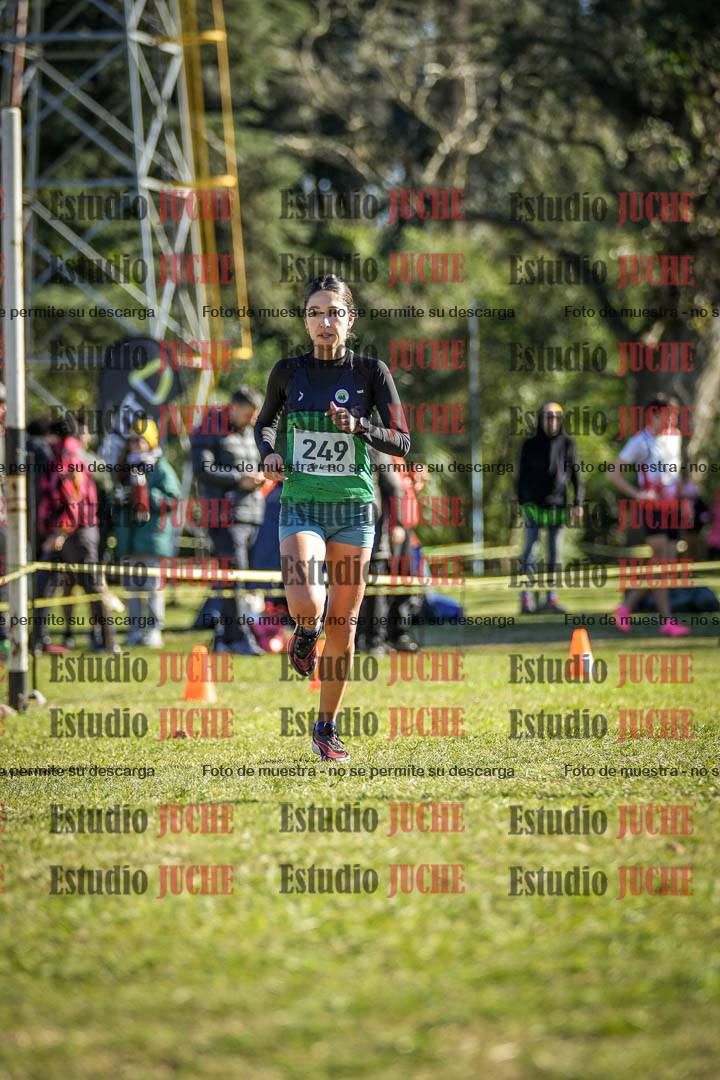 Fotos de la llegada del cross de 6000 m