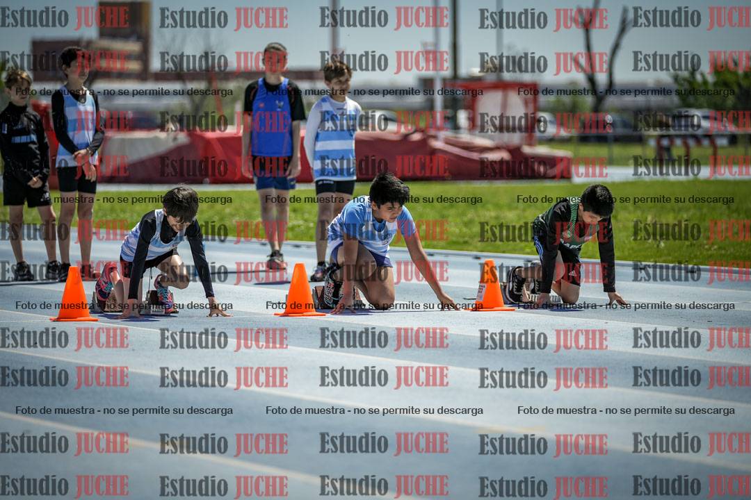 Fotos de los 60 m con vallas de varones