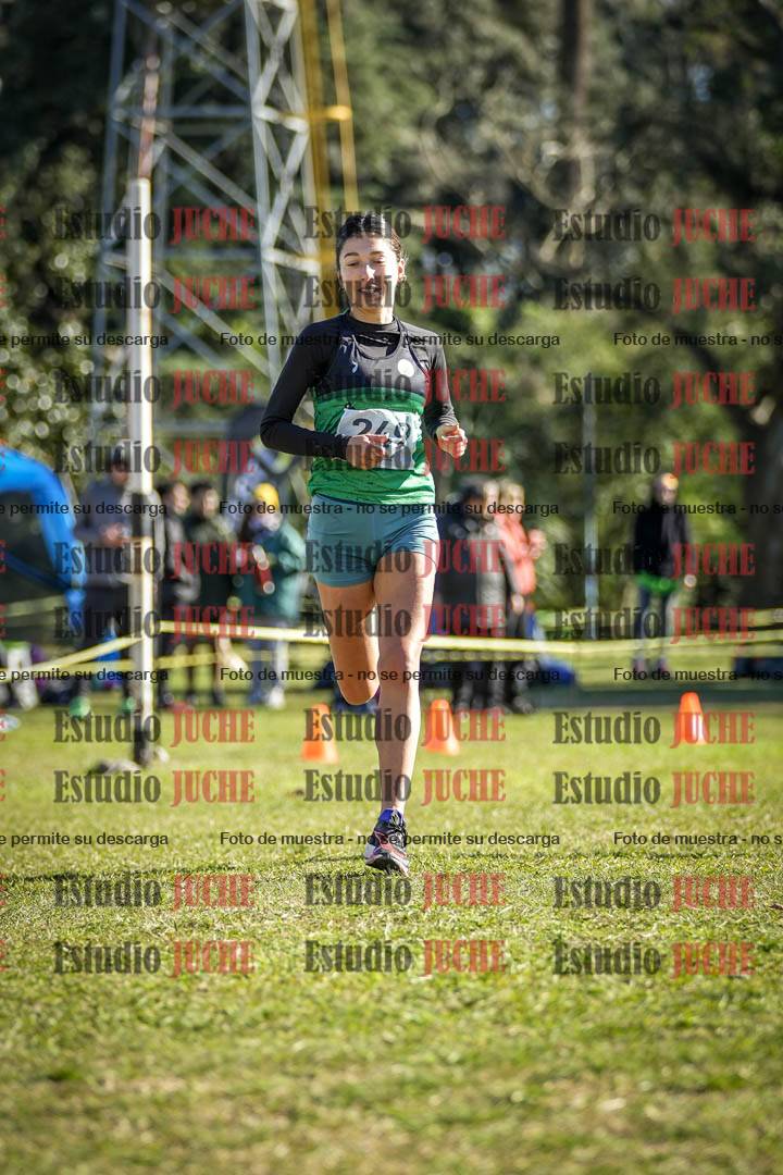 Fotos de la llegada del cross de 6000 m