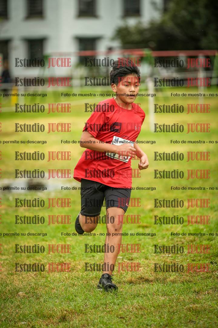 Fotos en el circuito