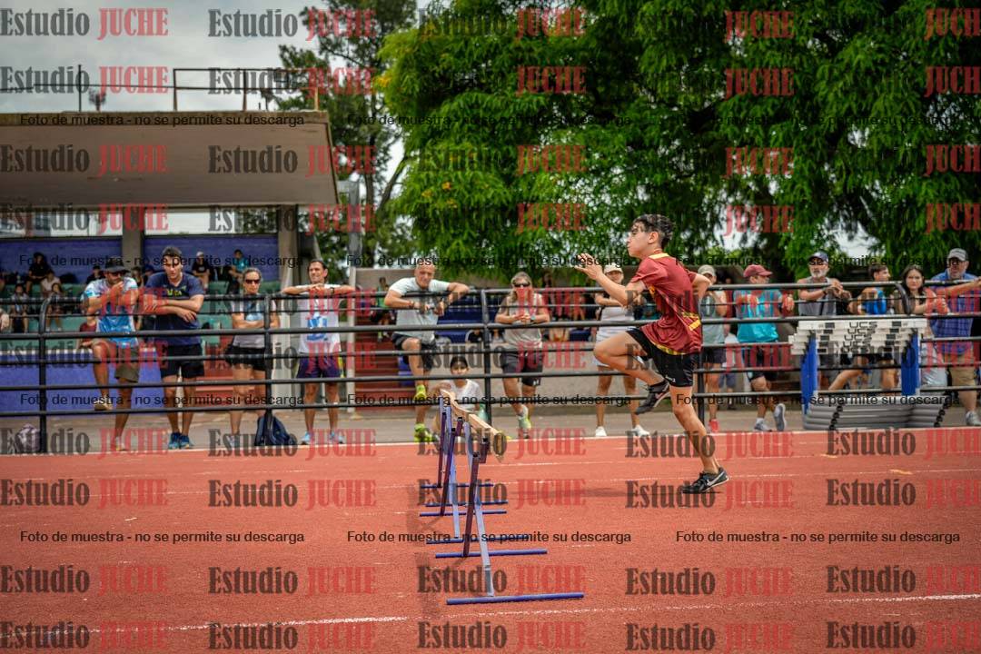 Fotos de los 60 m con vallas de varones