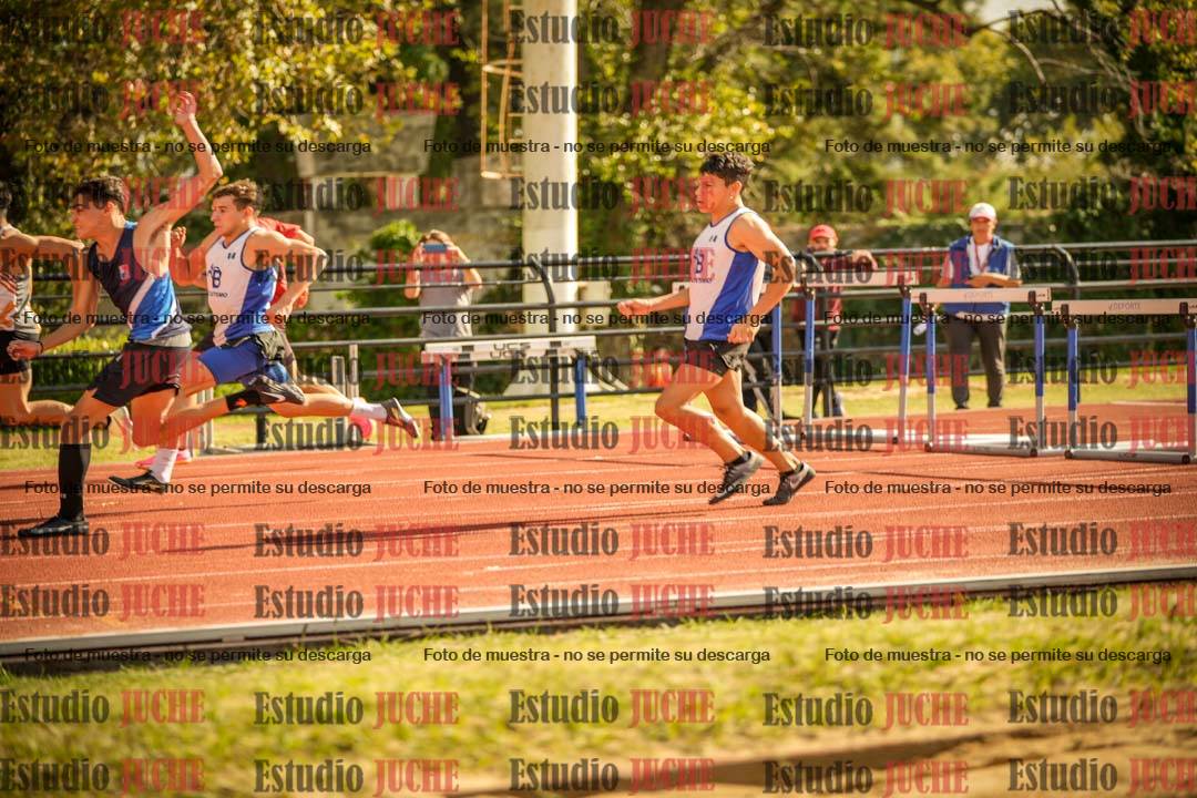 Fotos de los 110 m con vallas de varones