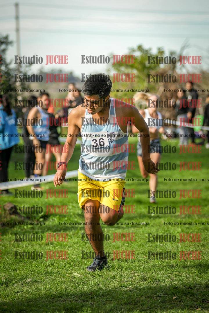 Fotos de la llegada del cross de 6000 m