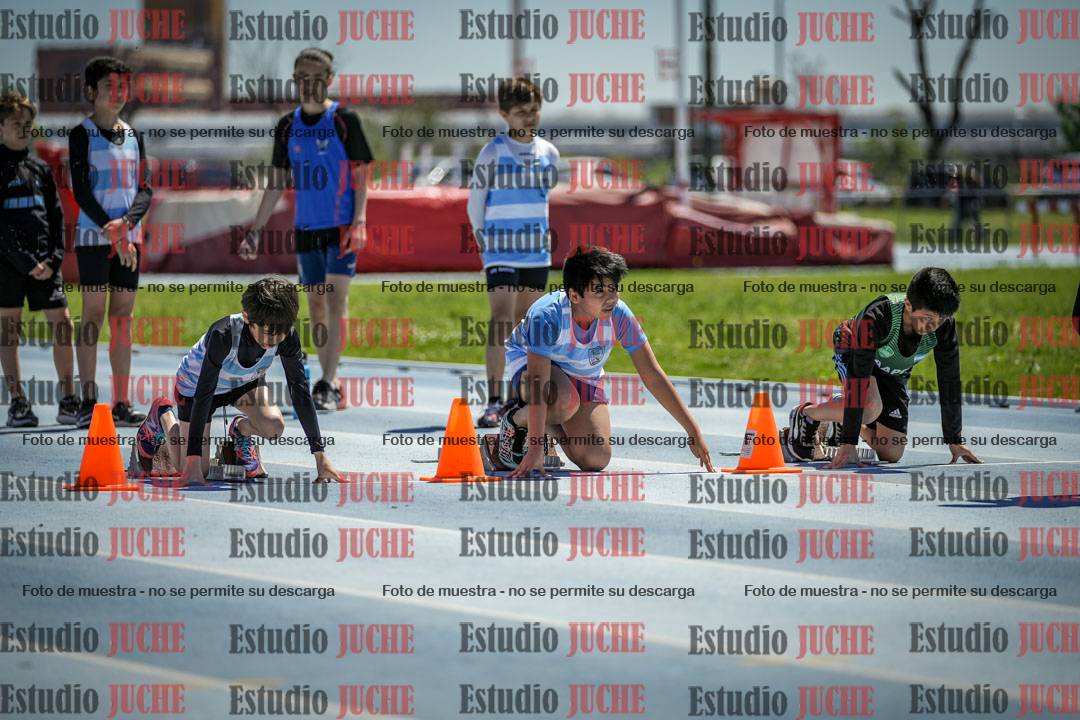 Fotos de los 60 m con vallas de varones