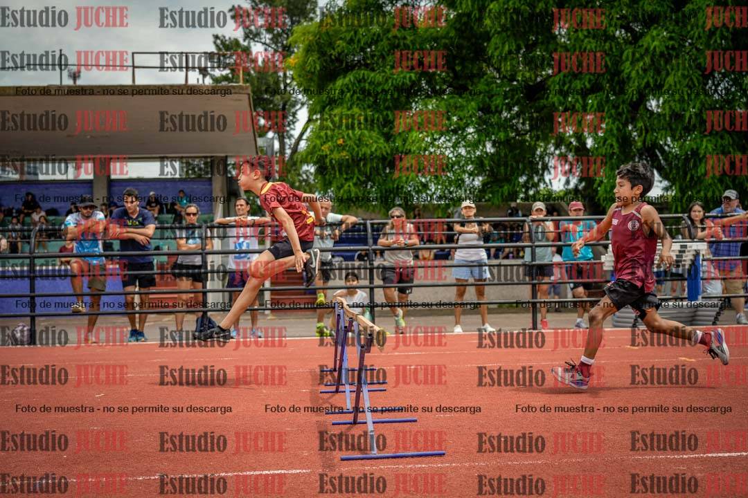 Fotos de los 60 m con vallas de varones