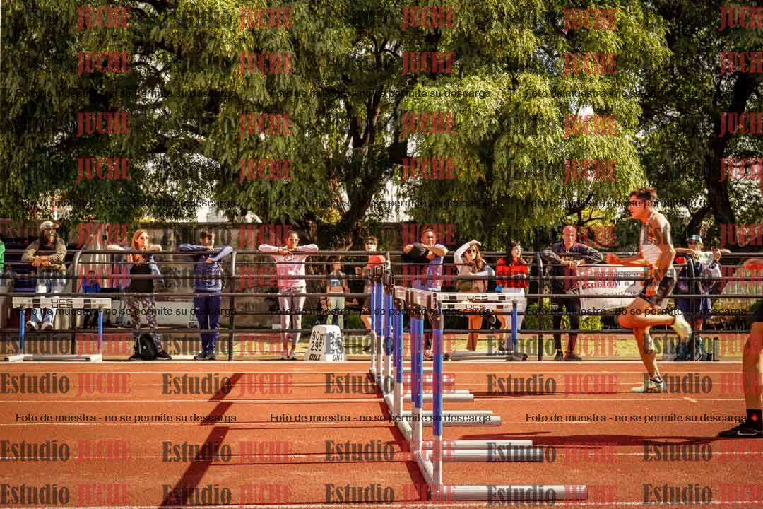 Fotos de los 110 m con vallas de varones
