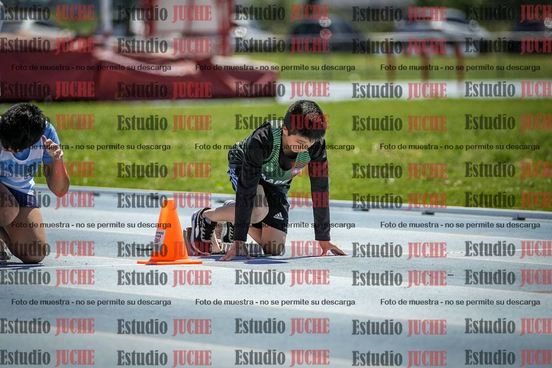 Fotos de los 60 m con vallas de varones