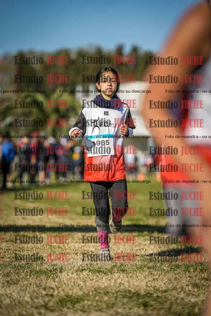 Fotos de las llegadas