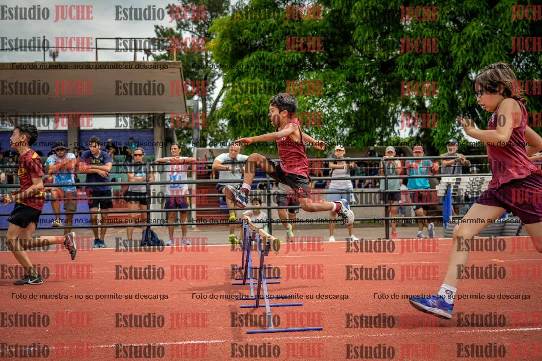 Fotos de los 60 m con vallas de varones