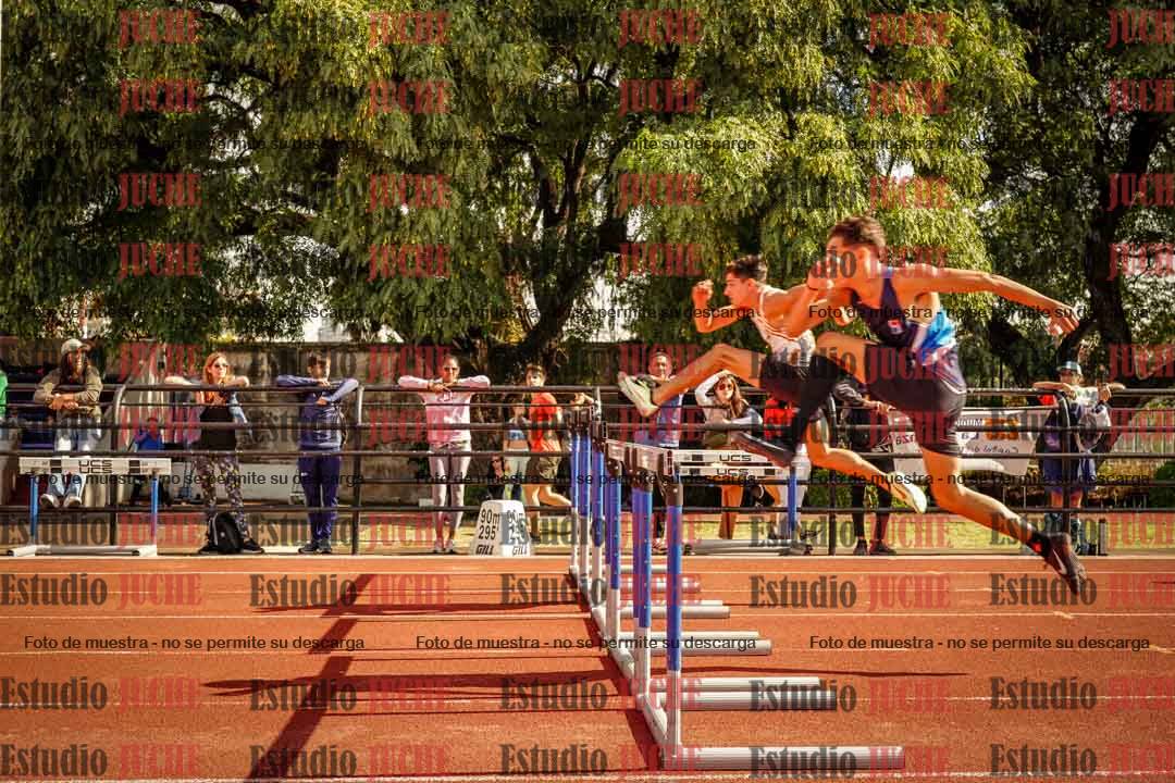 Fotos de los 110 m con vallas de varones