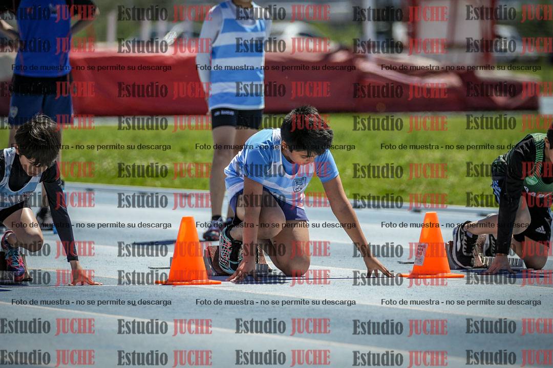 Fotos de los 60 m con vallas de varones
