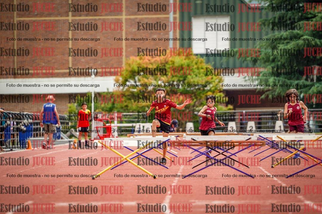 Fotos de los 60 m con vallas de varones