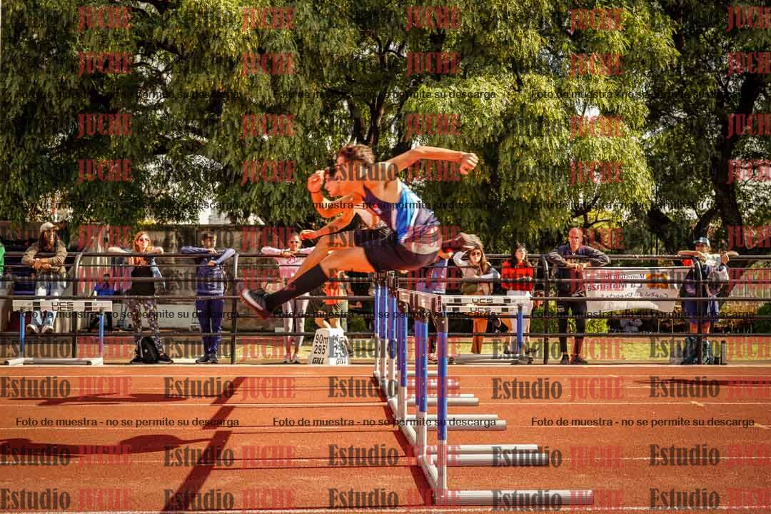 Fotos de los 110 m con vallas de varones