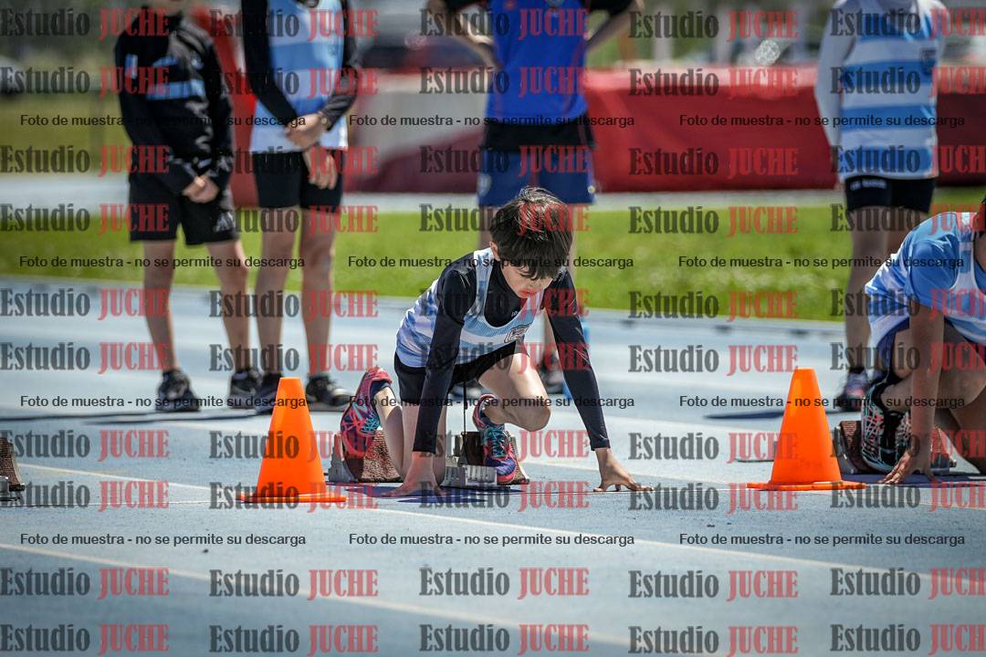 Fotos de los 60 m con vallas de varones