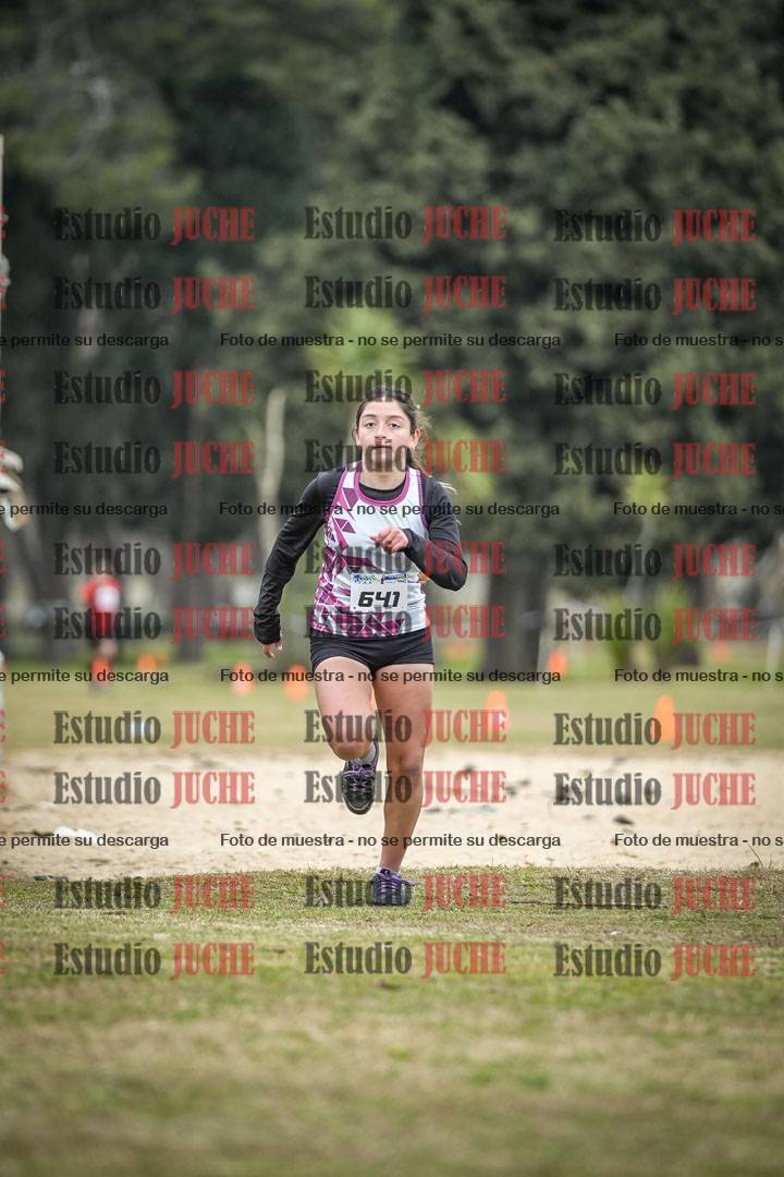 Fotos de la llegada