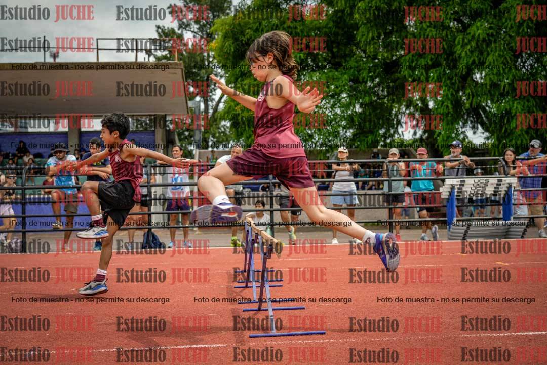 Fotos de los 60 m con vallas de varones