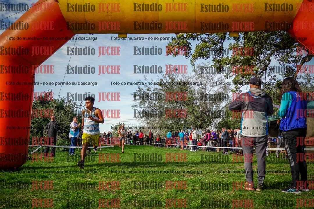 Fotos de la llegada del cross de 6000 m