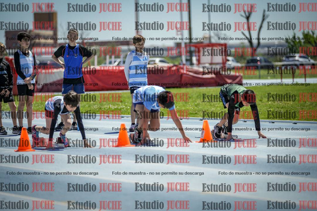 Fotos de los 60 m con vallas de varones
