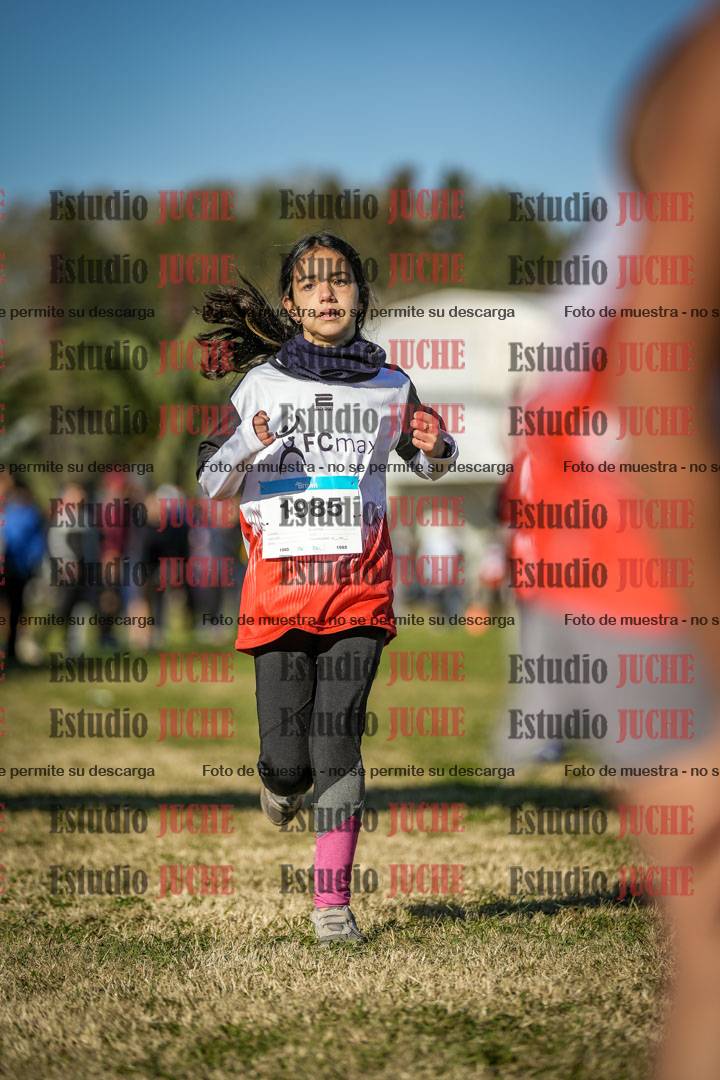 Fotos de las llegadas