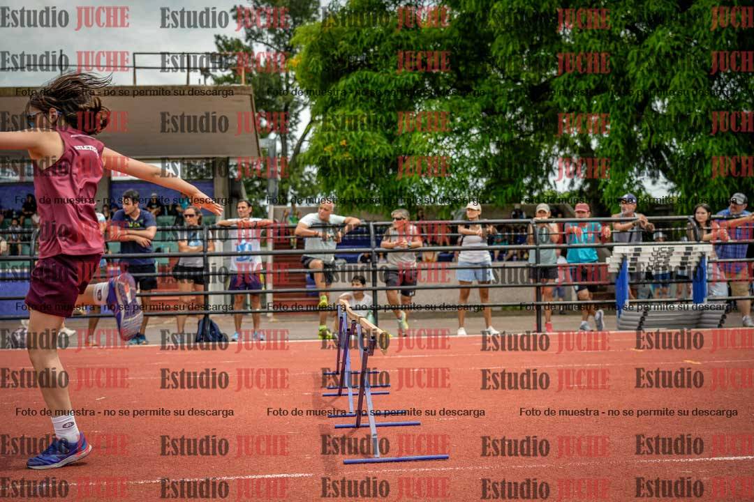 Fotos de los 60 m con vallas de varones