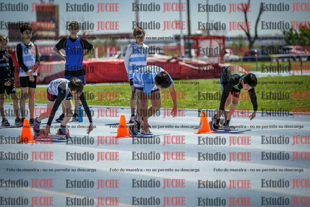 Fotos de los 60 m con vallas de varones
