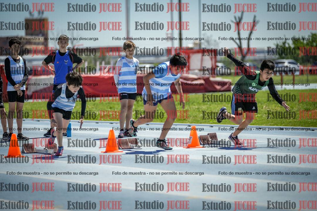 Fotos de los 60 m con vallas de varones
