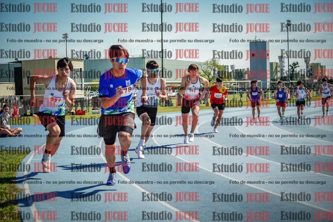 Fotos de los 800 m llanos de varones